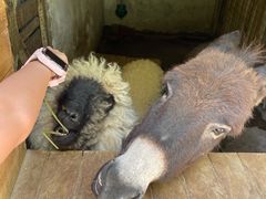 -HERRE·FARM 赫尔露营农场·团建聚会包场