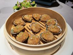 -子福慧(虹桥店)