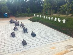 -广东惠东海龟国家级自然保护区