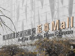 -红星美凯龙北京至尊MALL(东四环中路店)