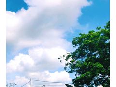 -乌布德传统市场