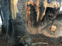 -昆明大悦城未来动物城(螺蛳湾中心店)