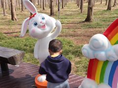 -黄海国家森林公园