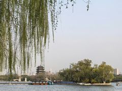 -鹊华居·地道鲁菜·海鲜·融合味(大明湖店)