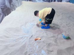 点击看大图 -恐龙探索乐园(磁器口店)