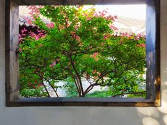 -秋霞圃