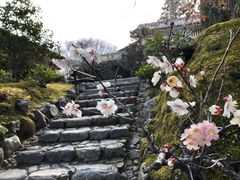 -常寂光寺