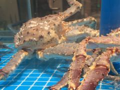-百富源·海鲜辽菜(张士店)