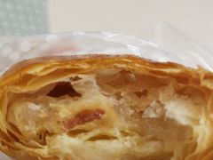 -蒲公英(五里店)