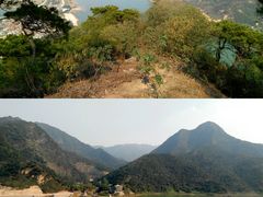 -羚羊峡古栈道森林公园