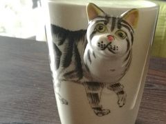 茉绿奶茶-喵店&猫咖