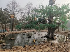 -西霞口神雕山野生动物世界