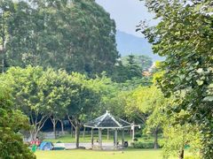 -火炉山森林公园