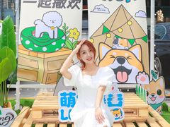 -坂田天虹