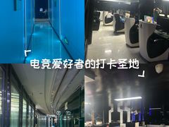 -绿树电竞(五路店)