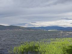-才村湿地公园