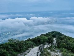 -梧桐山风景名胜区