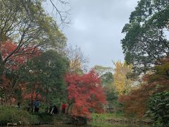 -秋霞圃