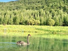 -本溪花溪沐温泉