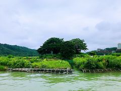 -日月潭