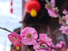 -广元千佛崖