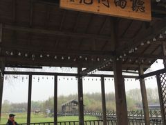 -溱湖国家湿地公园