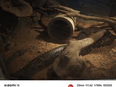 -泉州海丝野生动物世界