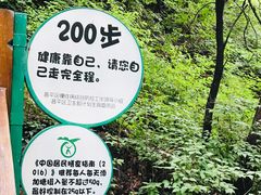 -大岭沟猕猴桃谷风景区
