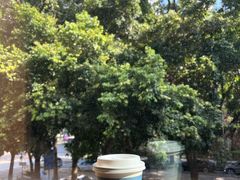 -LOTTA COFFEE(安居博文苑店)