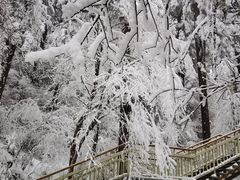 -海螺沟风景区