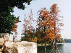 -东山湖公园