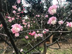 -鲁迅公园-垂钓中心