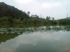 android_upload_pic-桃园美食(水库路店)