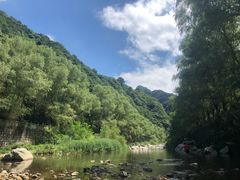 -沣峪口