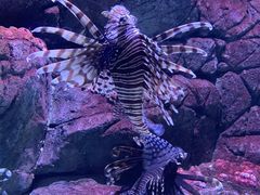 -成都浩海立方海洋公园