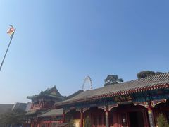 -天津大悲禅院