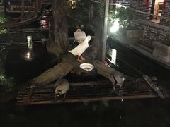 -优之名鹅城