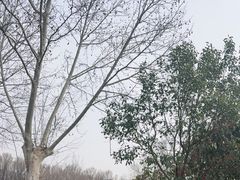 -江苏三台山国家森林公园