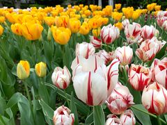 -COSTA COFFEE(昆城广场店)