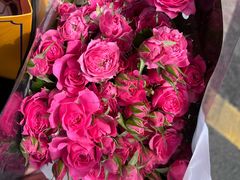 -溪岸路花鸟市场