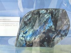 -中国第四纪冰川遗迹陈列馆