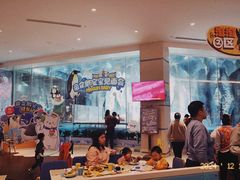 -帝企鹅自助餐厅•儿童岛•真企鹅(长隆企鹅酒店)