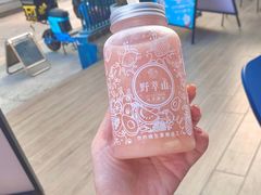 -野萃山·潮汕厚果汁(十亩地店)