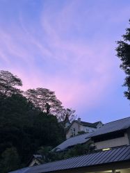 -爱帝宫月子中心(罗湖别墅院)