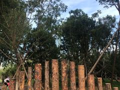 -回龙观体育文化公园