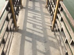 -呀路古热带植物园-恐龙馆