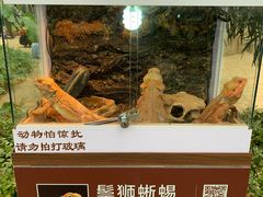 -南宫五洲植物乐园