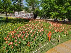 -长春公园(普阳街道)