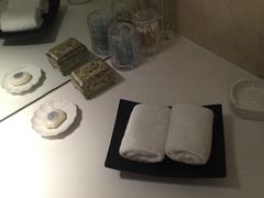 洗手间-国家会议中心大酒店