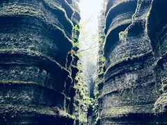 -梭布垭石林景区